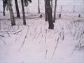 Расчистка участка