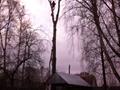 Удаление сухого тополя