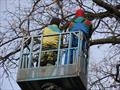 Спил деревьев с автовышки