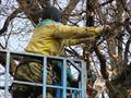 Спил деревьев с вышки