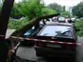 Аварийное дерево упало на машину