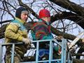 Валка деревьев с использованием автовышки