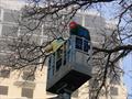 Удаление дерева с использованием автовышки